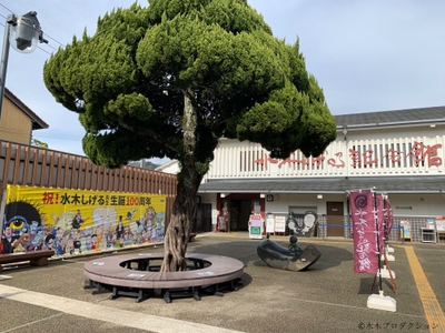 SqVZFv3dL2MccpAIbSfp.jpg?w=940&h=940