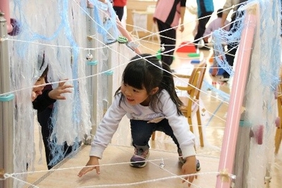 Sri4DD7CLSul5yokXJa2.jpeg?w=940&h=940