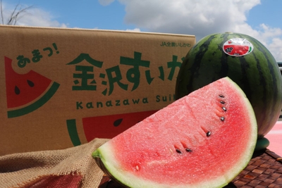 SsbbflHYt6LXYlJENjyn.jpg?w=940&h=940