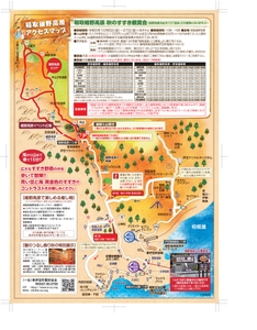 SsfDNrFP8cYaWRiU1XZ5.jpg?w=940&h=940