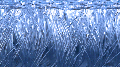 SsudmKdxlrjkR63H50Ng.gif?w=940&h=940