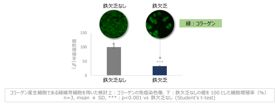 図1 鉄欠乏によるコラーゲン産生細胞の増殖抑制とコラーゲンの減少