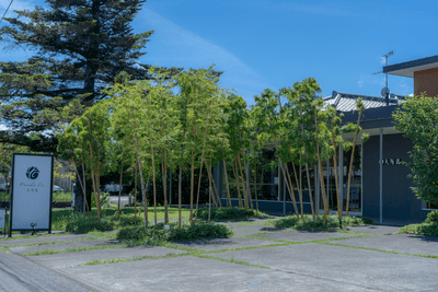 緑と調和する直営店の外観