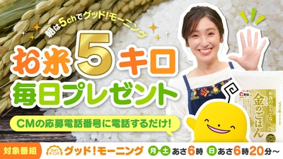 SudSQoAiVUoFqeHaovdu.jpg?w=940&h=940