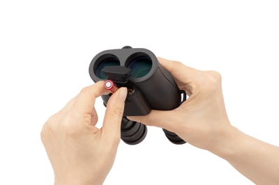 SueooJwY8z49BntuBVYr.jpg?w=940&h=940