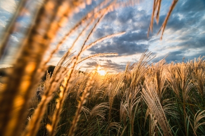 SvBvGstsRzP9lbVcpO0c.jpg?w=940&h=940