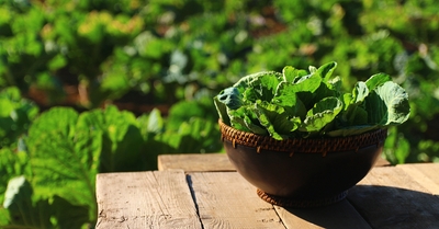 SvGuGZrQIFaeEh55rKFE.jpg?w=940&h=940