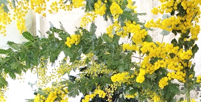 Svo20LT7CfE0qlZ9jebe.jpg?w=940&h=940