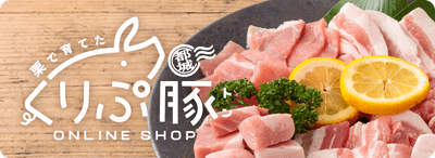 SwgnVN5rt3J0KBhErsq1.png?w=940&h=940