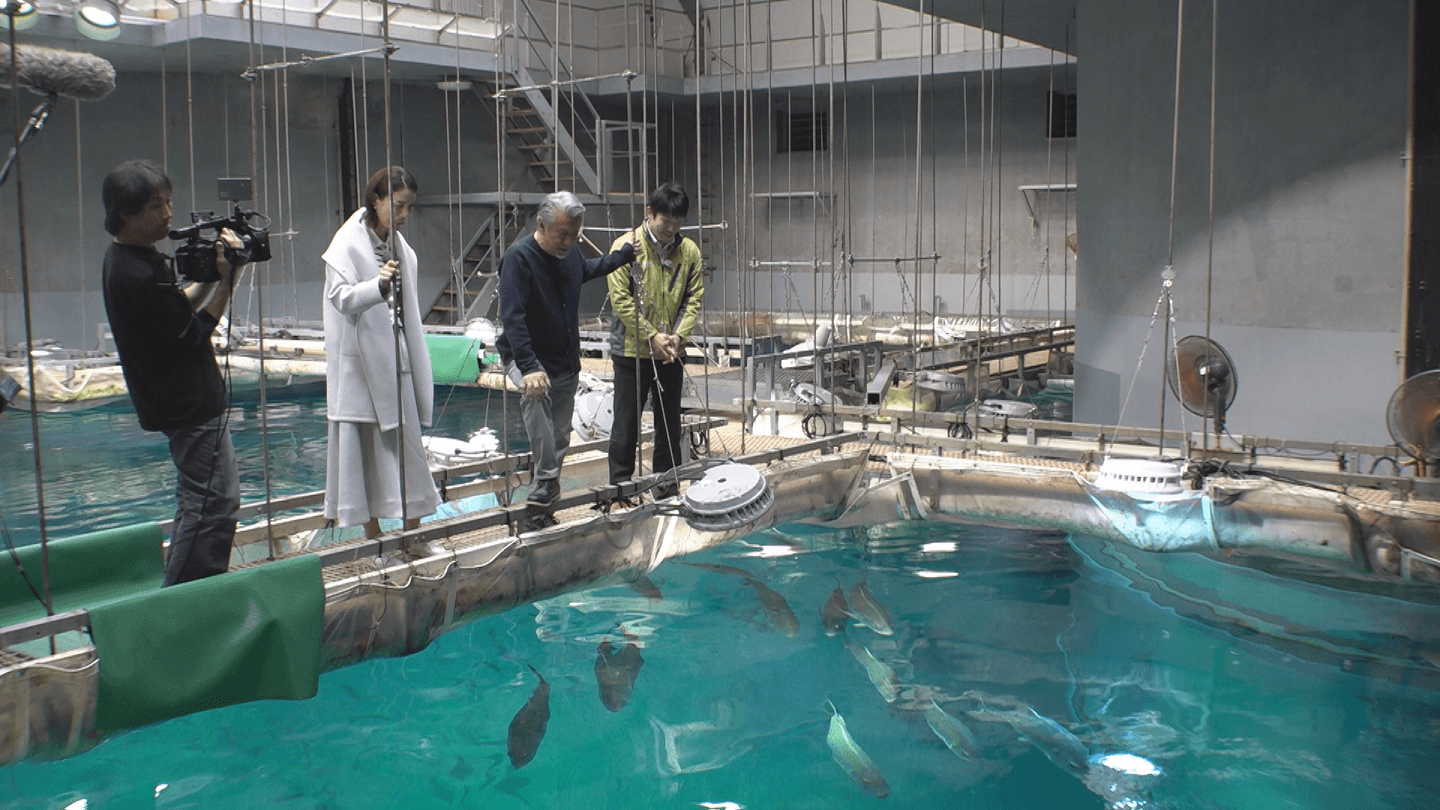 「ジンベエザメ」のエサやりに挑戦