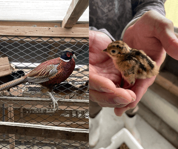 SzZNtZZSfiPq0j5REKFH.png?w=940&h=940