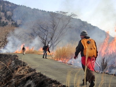 T03V2qw2n3hN4FPGq7WF.jpg?w=940&h=940