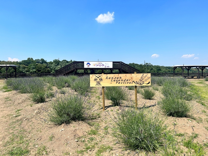 フォトスポット