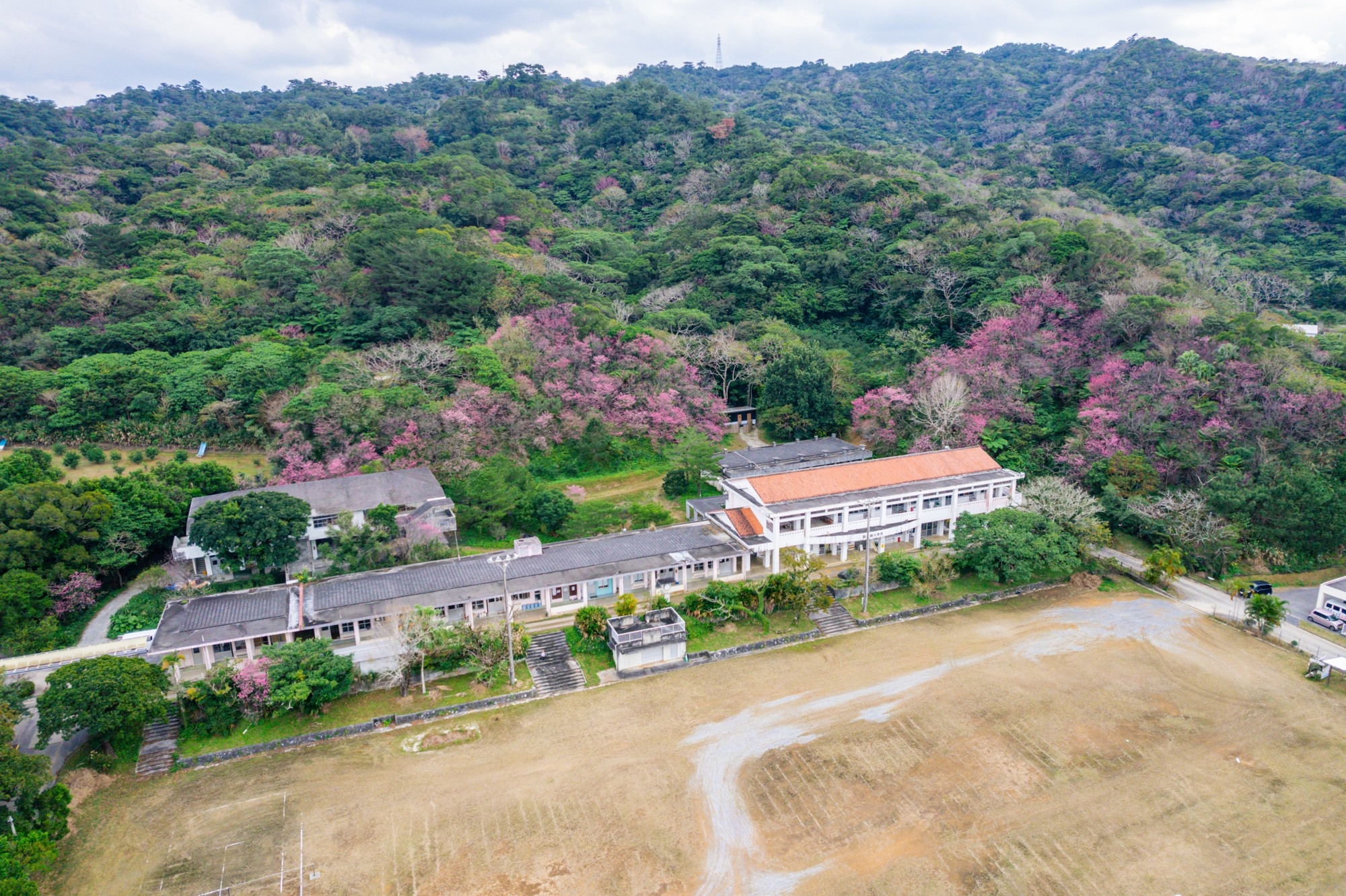 旧・喜如嘉小学校を活用した宿泊施設を6月開業