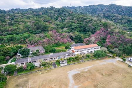 旧・喜如嘉小学校を活用した宿泊施設を6月開業