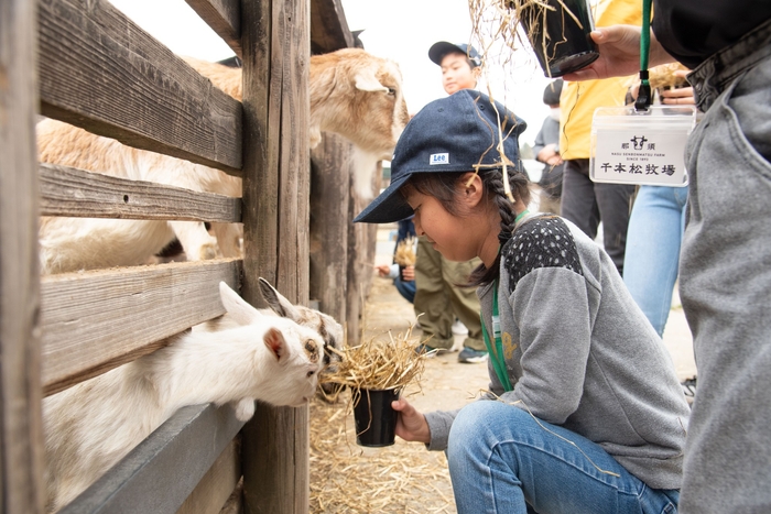 動物ふれあい 動物へのえさやり体験