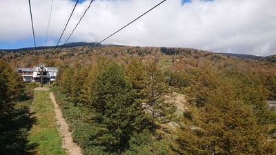 T3jnQi95MyJ0u1xLDkUu.jpg?w=940&h=940