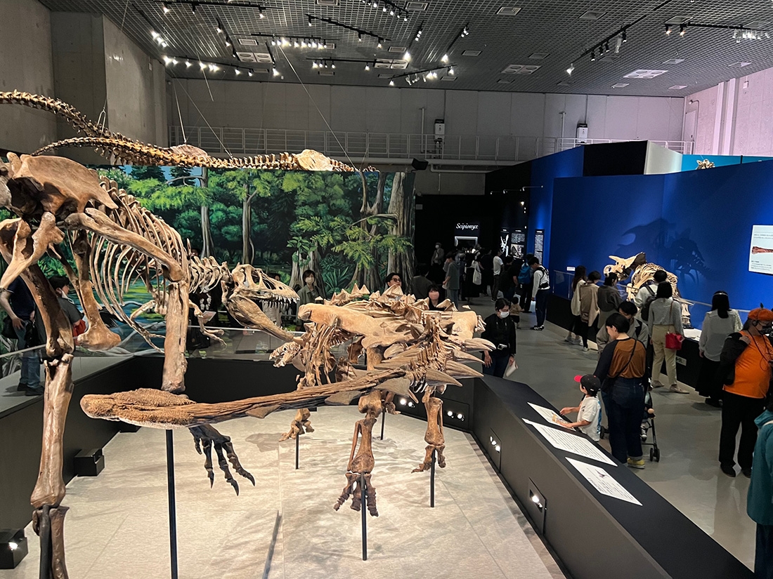 展示の目玉となっているトゲトゲの鎧竜類「ズール・クルリヴァスタトル」=中央=(東京・国立科学博物館)