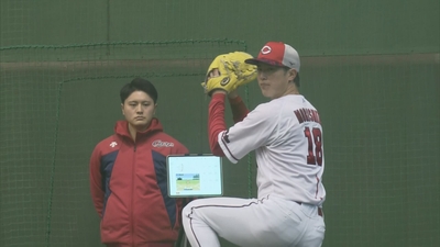 T5Pn6wJTyffTerwgJ1UF.jpg?w=940&h=940