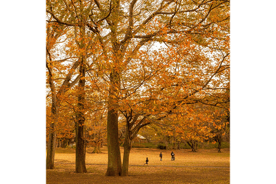 T64CM7OPw56Lnhxy4YoU.png?w=940&h=940