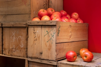 T6bxoRaqttAcDLho5KCt.jpg?w=940&h=940