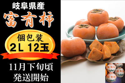 T7Ojpz9jnI0nifGTxRDQ.png?w=940&h=940