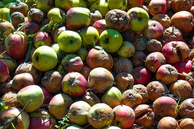 T7bOQBof0hZoEvn4eAyw.jpg?w=940&h=940