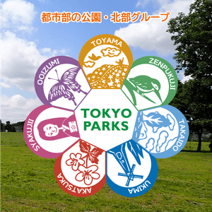 T7wYNOn0C0EiInlXPhdh.png?w=940&h=940