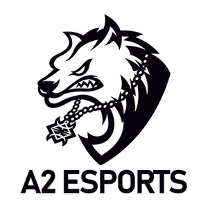 「A2 esports」プロフィール