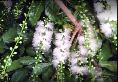 T9DNOemnolkQEOKA1knj.jpg?w=940&h=940