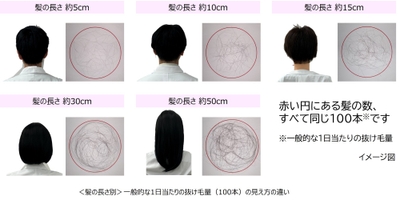 T9Xv3d5oRhLX1WdtExnU.jpg?w=940&h=940