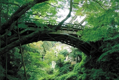 T9Zwx5P85F7Y8qMQ5jVR.jpg?w=940&h=940