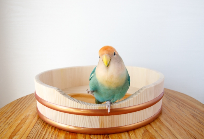 使用イメージ・ふち乗り