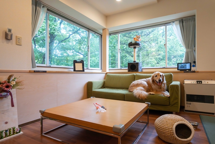 ねこちゃん＆わんちゃん、一緒に宿泊もOK