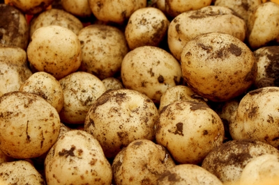 TBgCpTvCAcA3eeheoIeJ.jpeg?w=940&h=940