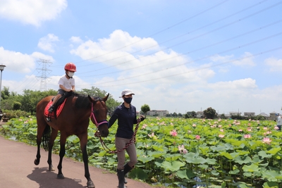 TBiXnDcOUhFeQLYi830E.jpg?w=940&h=940