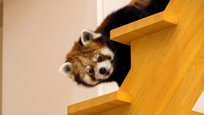 TCq2g6bgjBS7zc4TWDiX.jpg?w=940&h=940