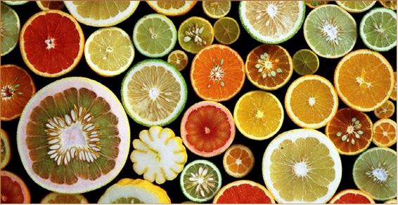 「近大おいし鴨」を使用したメニューを提供　近畿大学