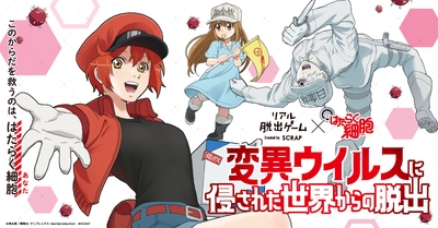 TDwLTNnR5wLuODn96LYN.jpg?w=940&h=940