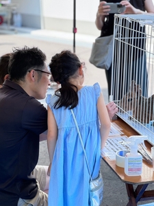 TEbM2JbMvIm9z5sd5Fjp.jpg?w=940&h=940