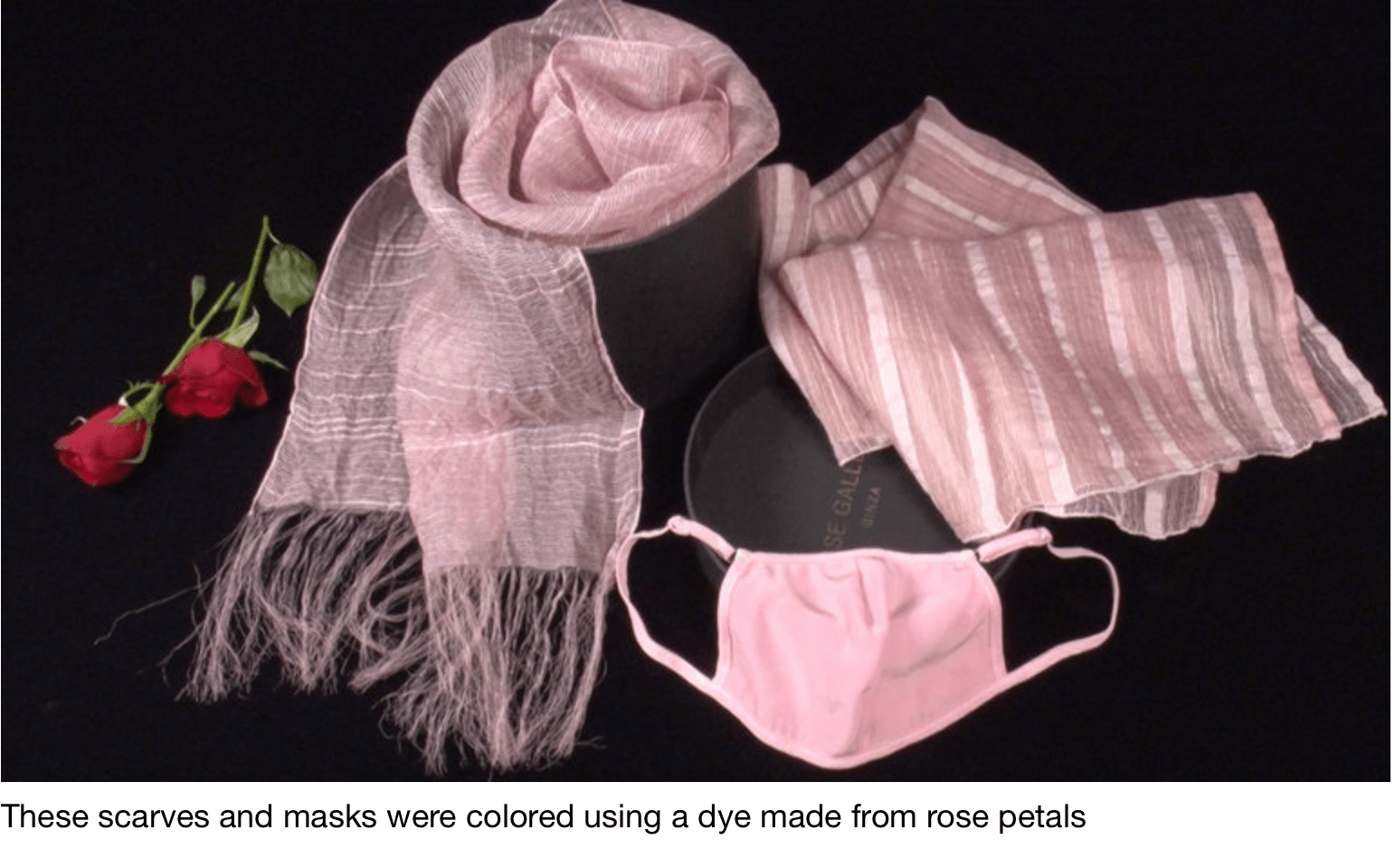 BIZ STREAMの予告画像より(花染め)