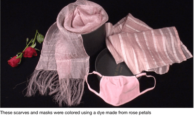 BIZ STREAMの予告画像より（花染め）