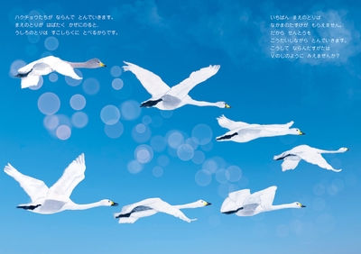 TFLpYGZ9hjOTVDpomVCq.jpg?w=940&h=940