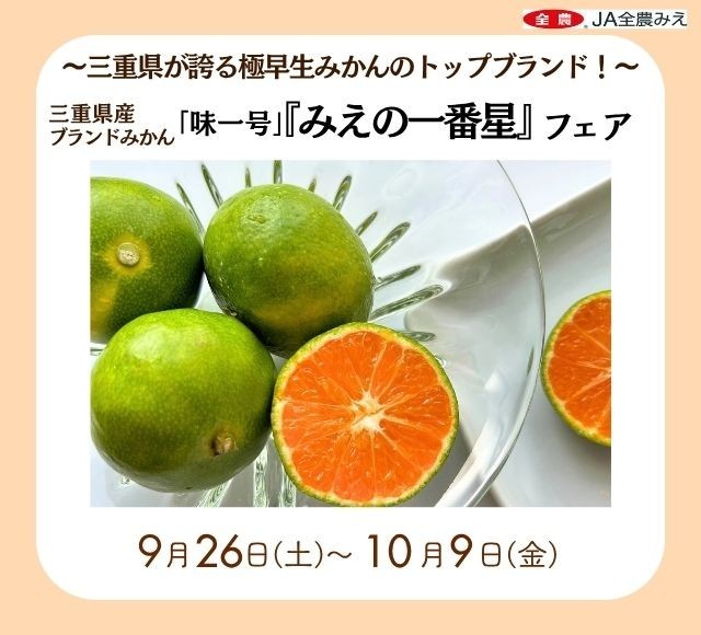 ~三重県が誇る極早生みかんのトップブランド!~
みのるダイニング名古屋店で三重県産ブランドみかん「味一号『みえの一番星』フェア」を
9月26日(土)~10月9日(金)まで開催