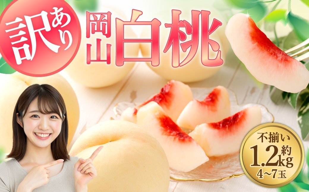 【岡山県倉敷市ふるさと納税】気品ある美しい桃「【訳あり】岡山白桃（家庭用）1.2kg以上 サイズ不揃い」を受付中です。