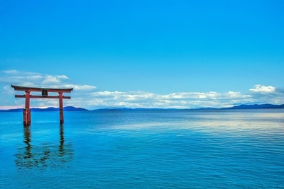 TGRnJmGD3I3UzOfbVUbd.jpg?w=940&h=940