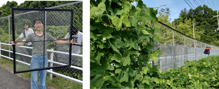 WCP(Weed Control Panel)(右)、WCPの試作品を設置したフェンス(左)