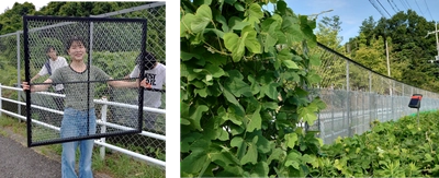 世界初！静電気の技術を活用した設置型雑草抑制装置　「WCP（Weed Control Panel）」を産学連携で共同開発