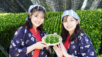 TJg7Q4OQDrEnYsFNJTq1.jpg?w=940&h=940