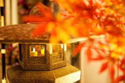 TJsopLHEW1MZjv1zksCC.jpg?w=940&h=940